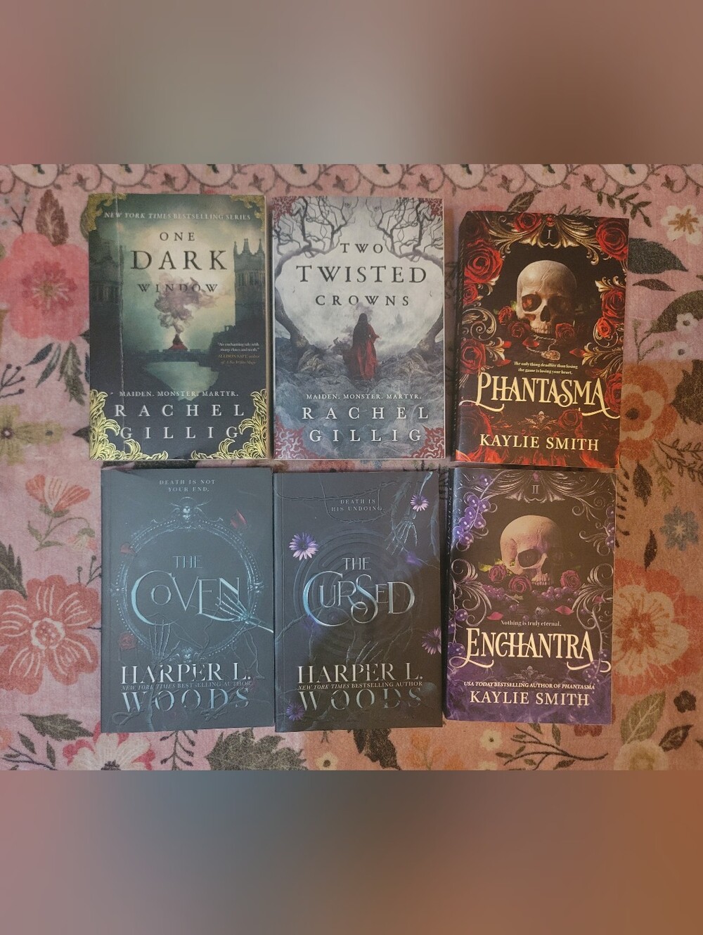 Fantasy Series Book Lot